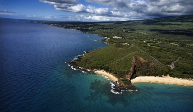 The attack took place half a mile off of a point near Little Beach in Makena State Recreation Area.  Photo: Shutterstock/iofoto