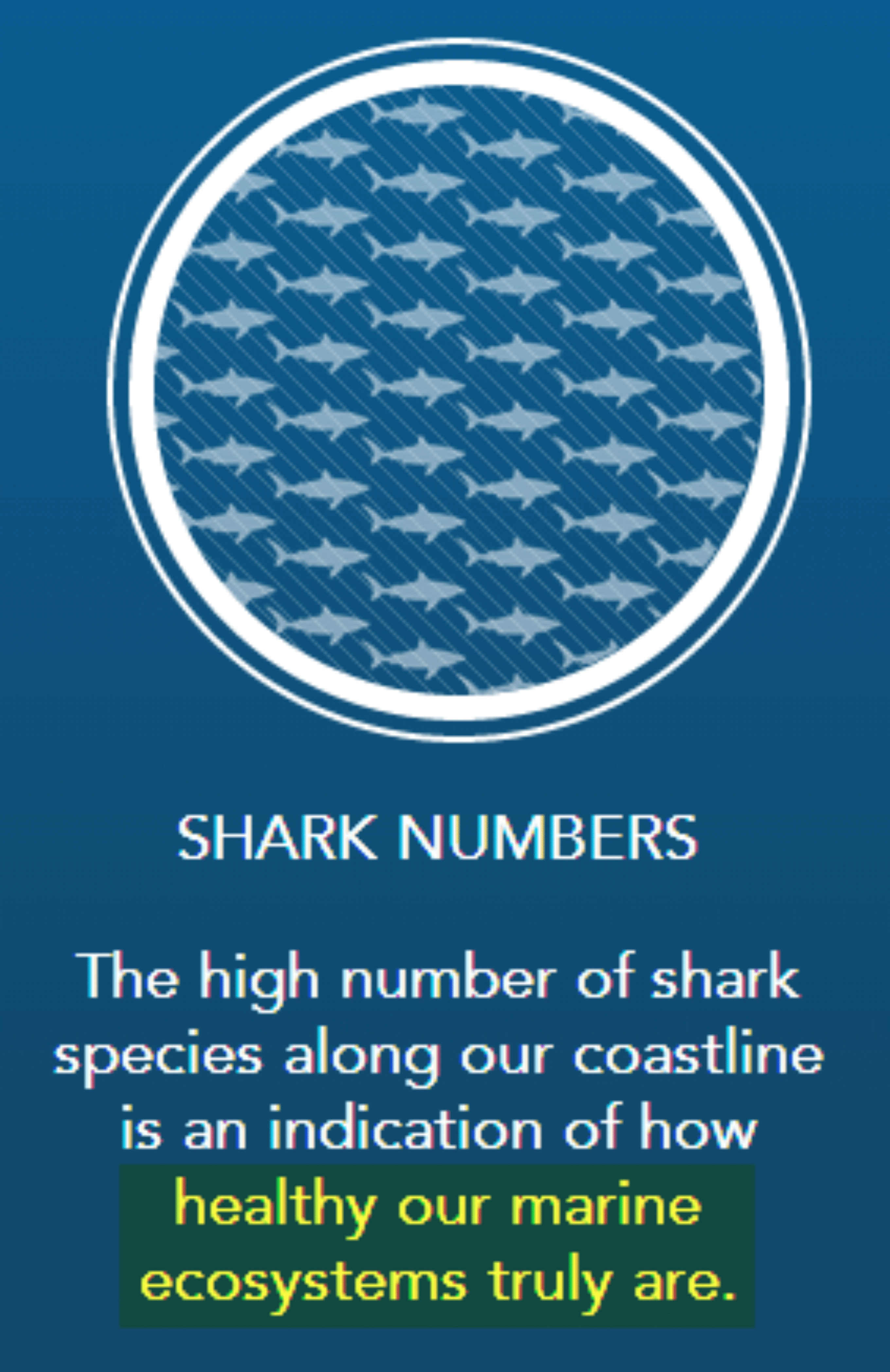 https://sharksmart.com.au/