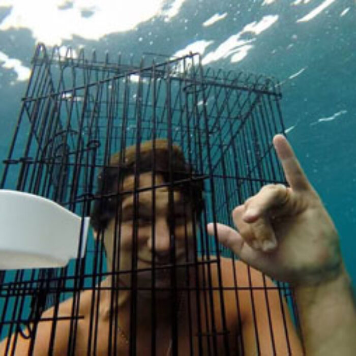 The Mad Huey's are usually doing something kind of dumb. Hilarious, but dumb. When they decided to go cage diving with sharks, they couldn't have expected it to go smoothly – they were using a bird cage.