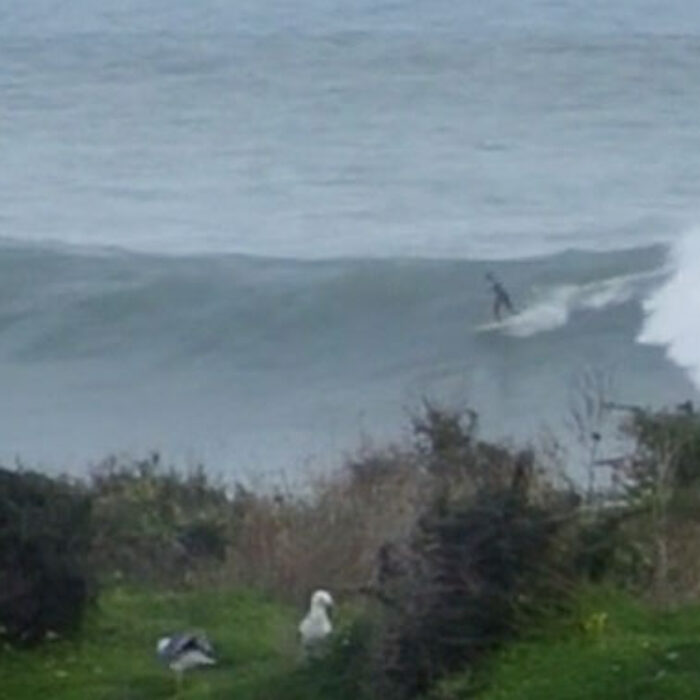 Winter storm Hercules wasn't all enormous, unridable (for most of us) waves. In Lagos, Algarve, Portugal, in fact, it was just long, long, LONG right handers.