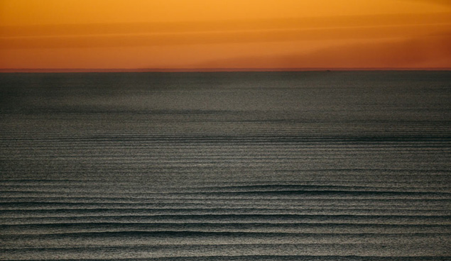 Corduroy. Photo: Jeremiah Klein