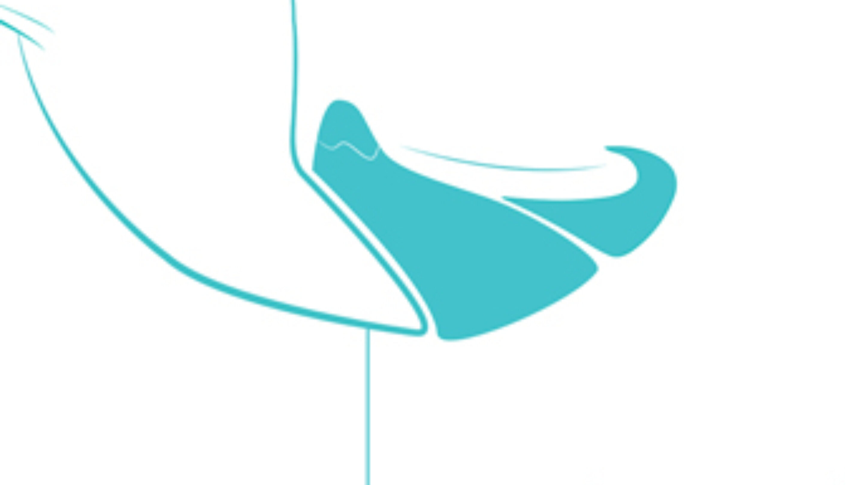 Rodeo Bird Connects Surfing and Snowboarding through Board Technology