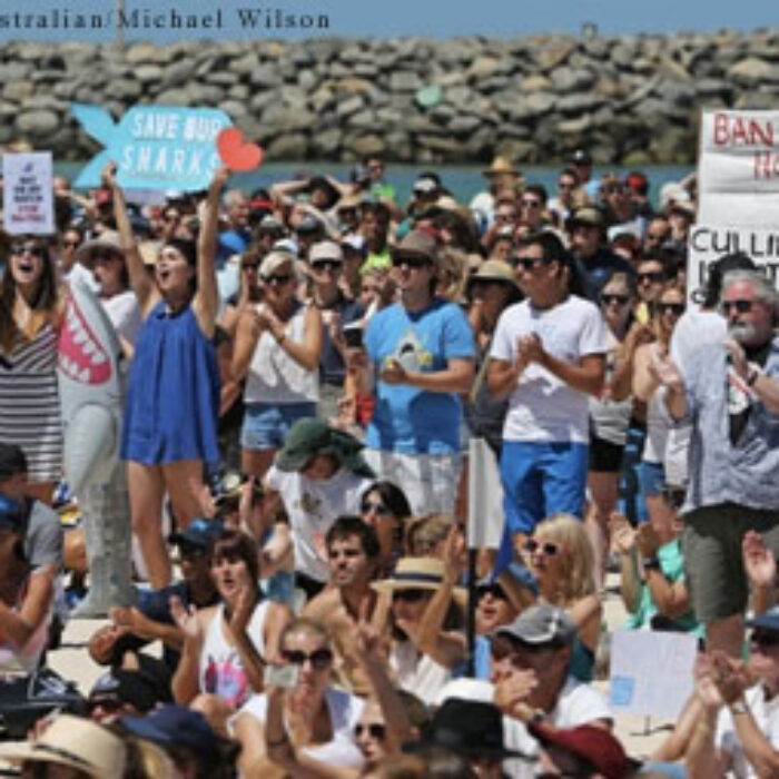 Photo: The West Australian/Michael Wilson