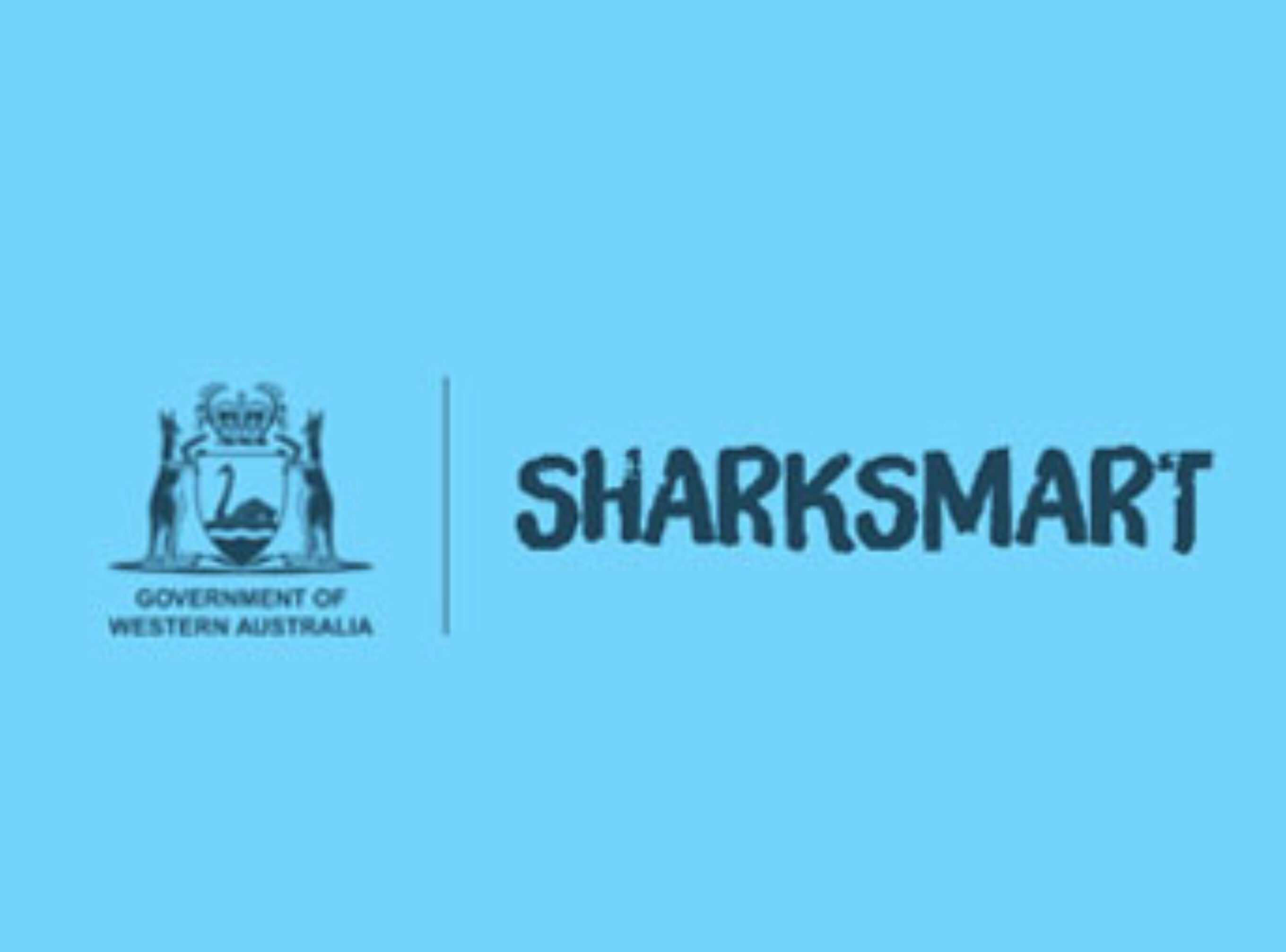 Kudos to the WA Government for their failed attempt to divert attention away from the millions of dollars worth of taxpayer's money they're spending on fisherman to murder innocent, endangered sharks off our beautiful beaches.