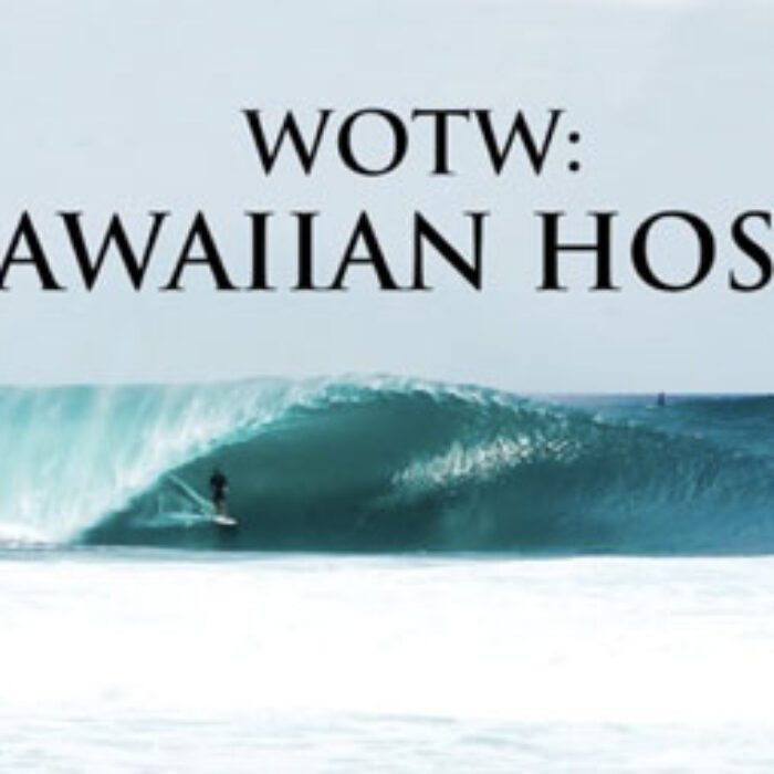 This is a compilation of Wave of the Winter clips. A Hawaiian compilation. It really pays off to live in surfing paradise.