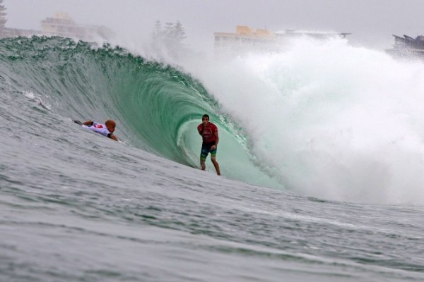 Parko lets the bird out of its cage. Photo: ASP/Carey