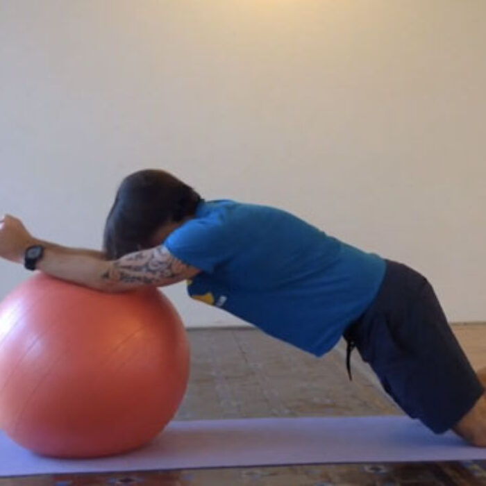 Next to a good sense of humor, I strongly believe that the swiss ball is the second most versatile surf-performance and abdominal conditioning piece of equipment known to man.