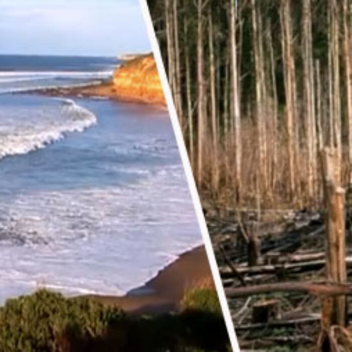 Climate change is having an impact worldwide. Bells Beach is a perfect example of how our greenhouse emissions are impacting on the coastal and marine environment at the local level.