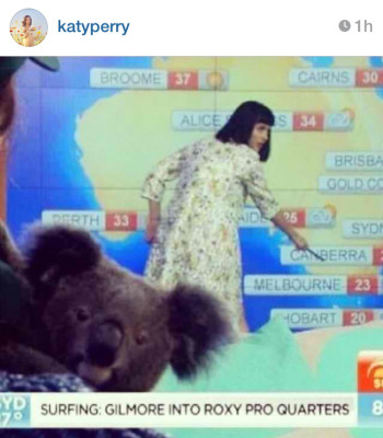 The koala's photo bomb is a nice cherry on top. Photo: Instagram: @katyperry