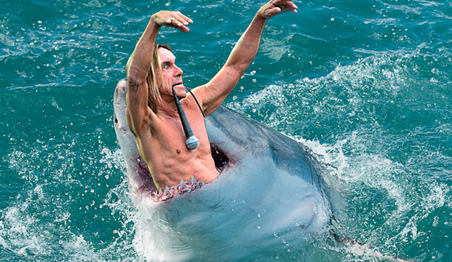 Iggy Pop has a death wish.