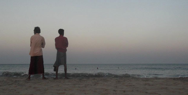 Sri Lanka skunking. Photo: Robbie Cowan