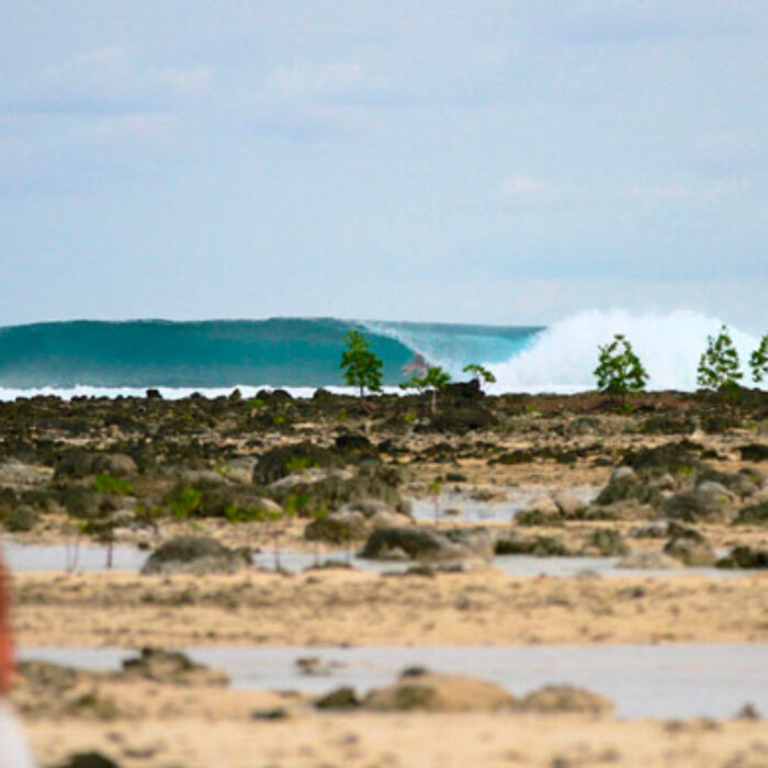 C38. When the luck of the draw is REALLY lucky. Photo: Alexander Cleland.