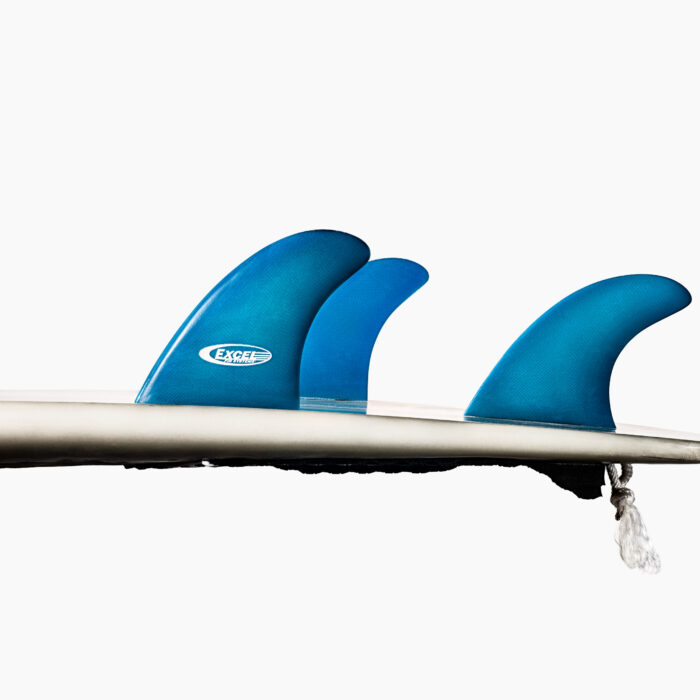 Three! It's three fins! Photo: Tim Hogan/The Fin Project