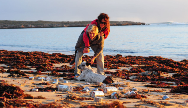 The Duct Tape Surfers. Photo: <a href="https://www.richardhumphriesphoto.com/">Richard Humpries</a>