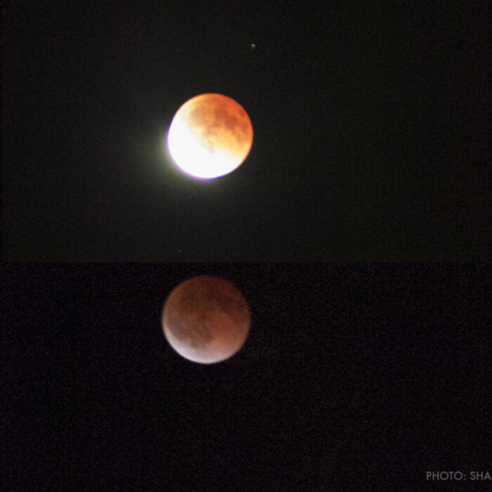 blood moon lunar eclipse
