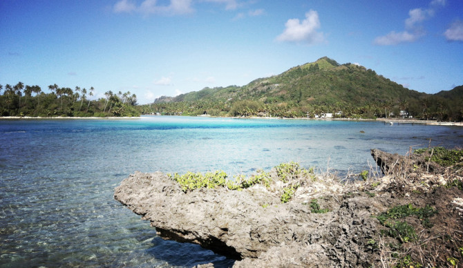 The front yard. Photo: Adam Sumbak