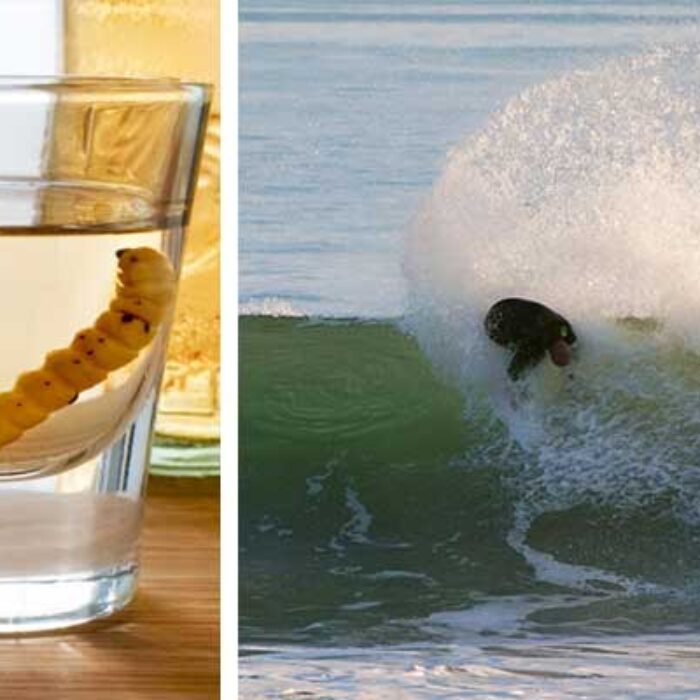 Mezcal with a worm attacks your liver. Bobby Martinez attacks Rincon. Photo: Channel Islands