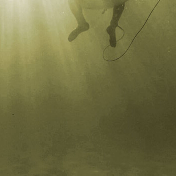 If it's yellow, it's mellow. Photo: Jared Aufrichtig