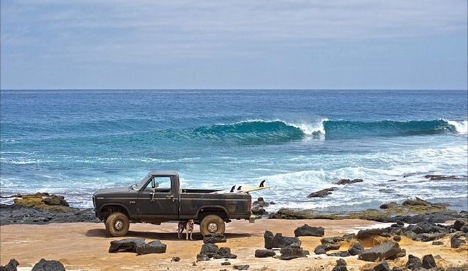 Man's best friend(s). Photo:  Instagram: @aloha_bigmike