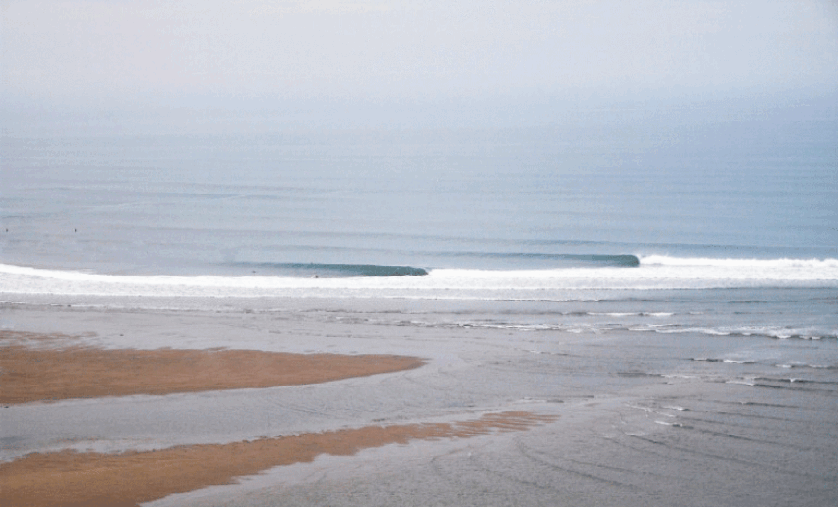 Bantham for Sale