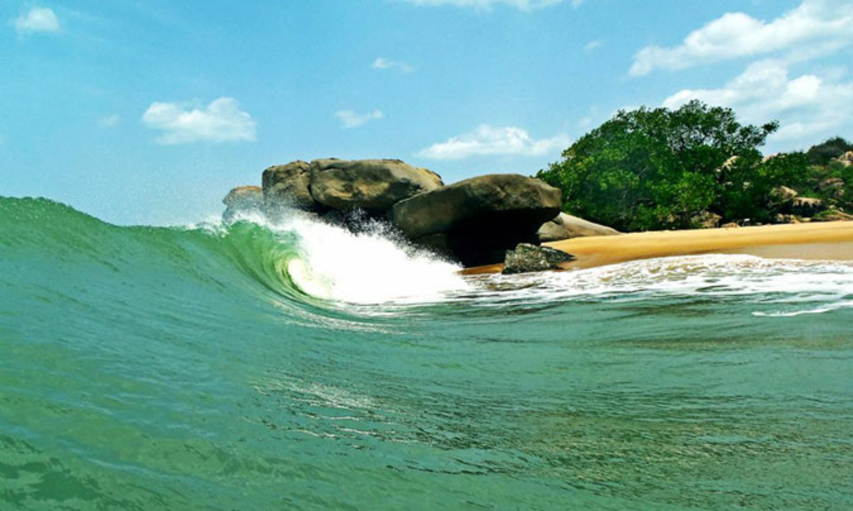DON'T - Forget the reef. Photo: Lindsay Allen