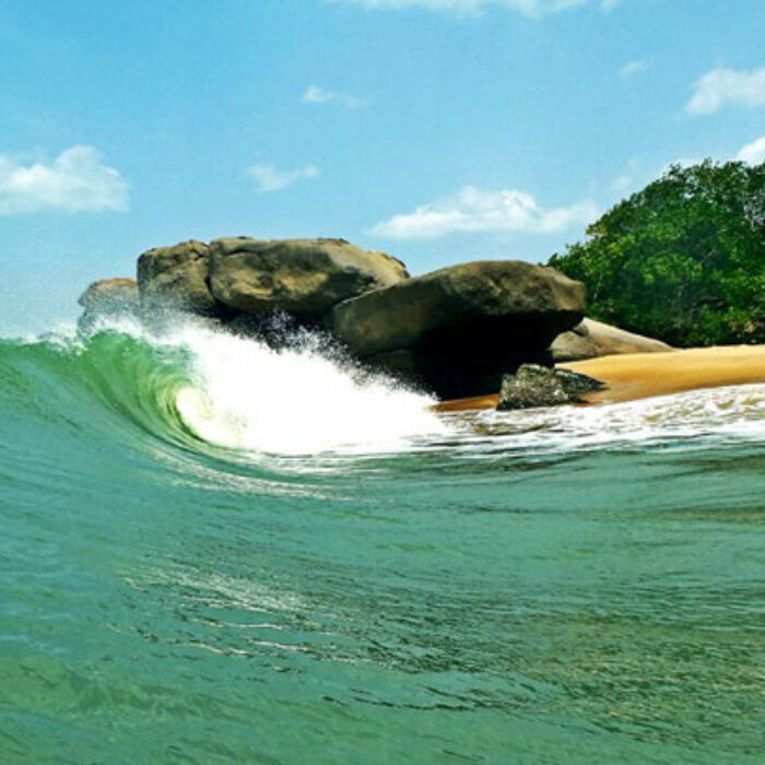 DON'T - Forget the reef. Photo: Lindsay Allen