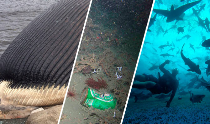 You're better to know about it.