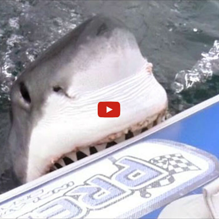 You're gonna need a less inflatable boat.