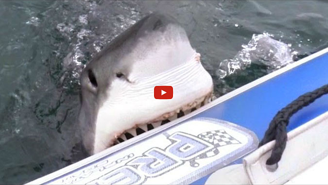 You're gonna need a less inflatable boat. 