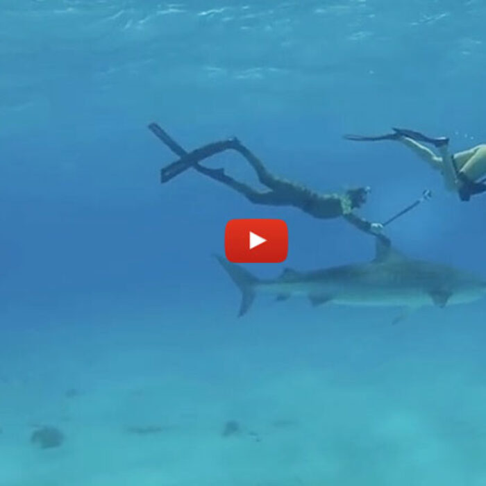 What do you give big wave hell-man Mark Healey and base jumper/ wingsuit-woman Roberta Mancino a Go-Pro and some swim fins?
