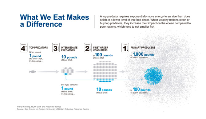 Your footprint. Well, maybe not footprint... FINprint. Photo: <a href="https://images.nationalgeographic.com/wpf/media-live/file/what-we-eat-makes-a-difference_.pdf">National Geographic</a>