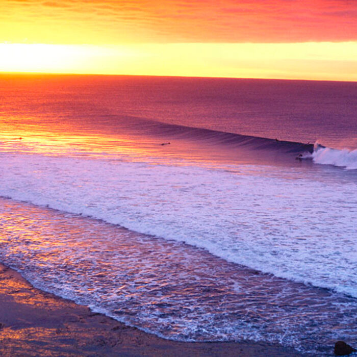 We love them both. Whether you're drinking Budweiser or Fosters (no one drinks Fosters), we salute your waves and everything that comes with them.
