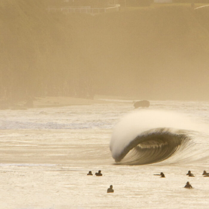 Hello, old friend. Photo: Ray Collins