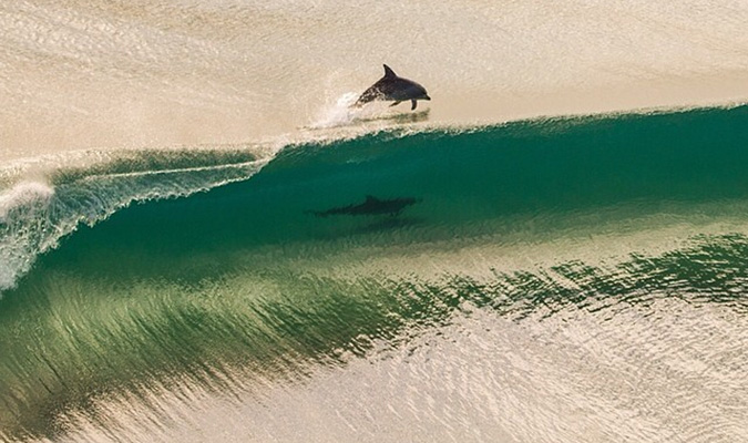 Lurking at Point Danger. Photo: Instagram @brodie_mccabe
