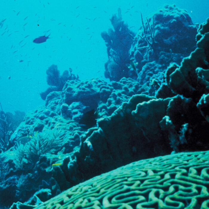 It's quite a sight. Photo: Wikimedia