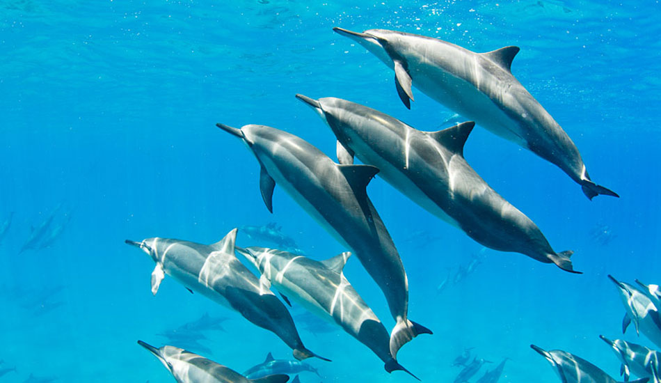 Yeah, they live in a nice place.