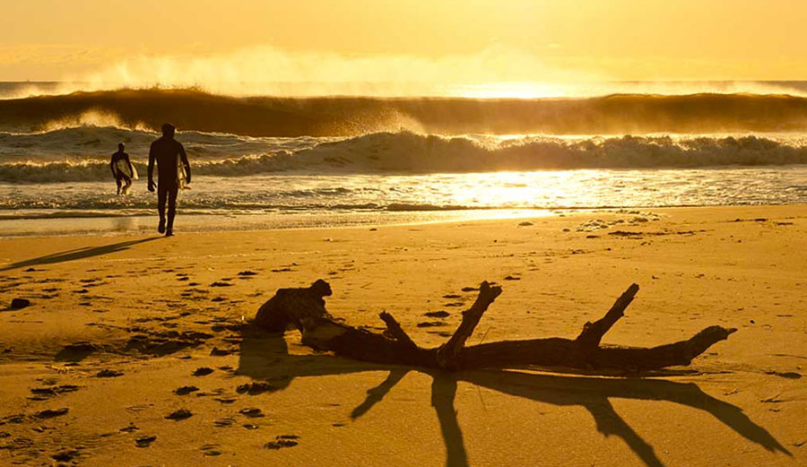 Hard to ignore this, isn't it? Photo: Robert Siliato