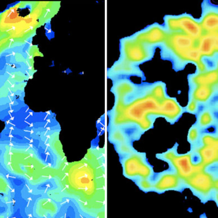 On the left, the ocean. On the right, the brain. Both surfable.