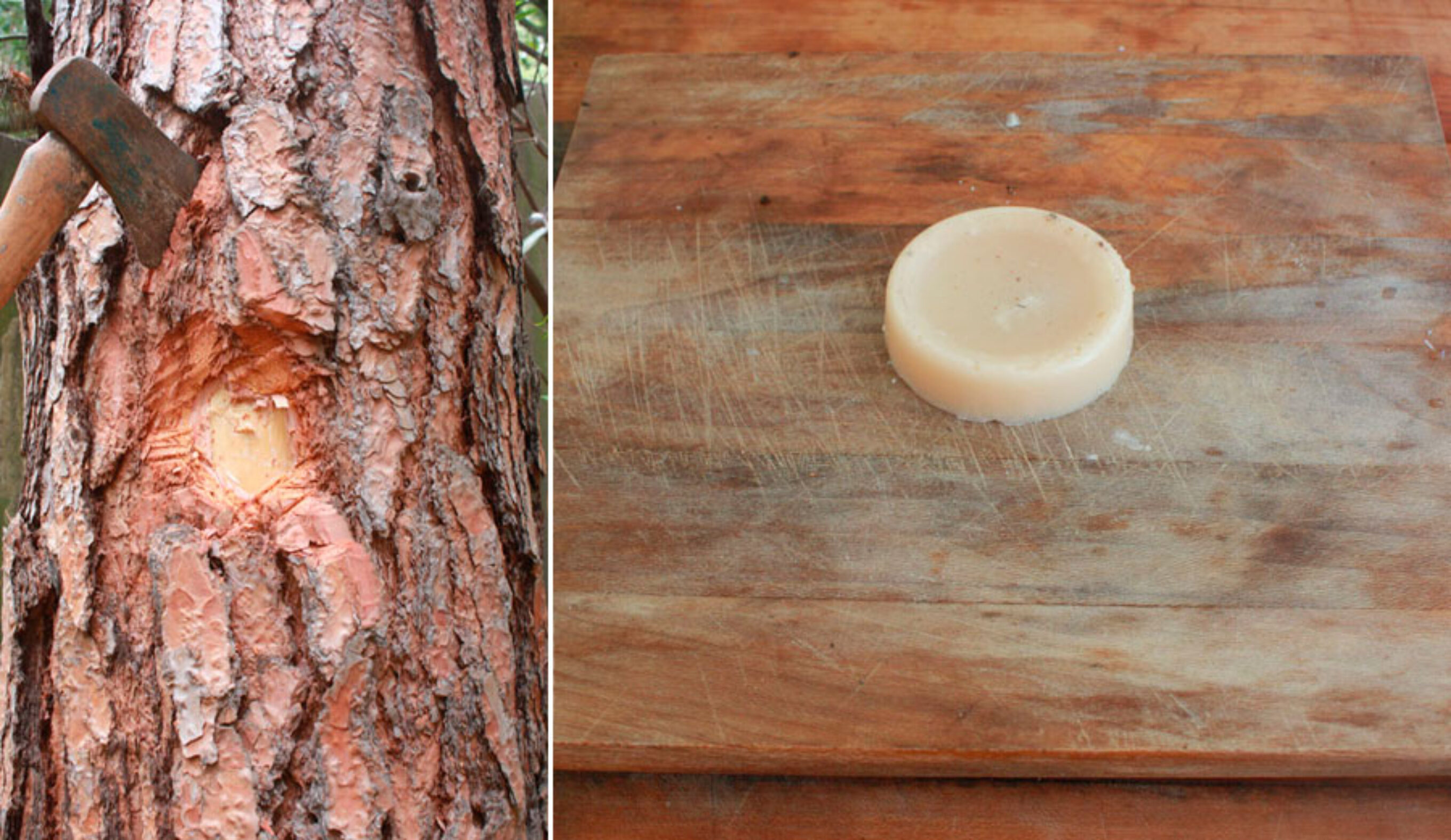 Here's how to make surf wax yourself. It's pretty easy. Granted, buying it is easier. And the wax is better. But DIY is so in right now!