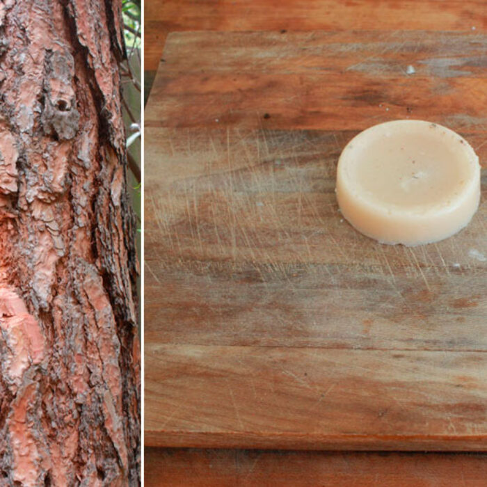 Here's how to make surf wax yourself. It's pretty easy. Granted, buying it is easier. And the wax is better. But DIY is so in right now!