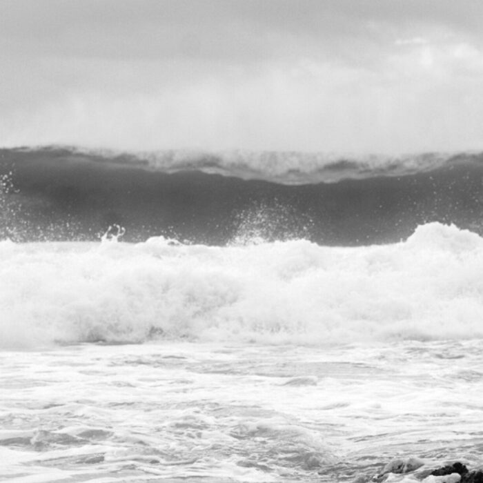 How will the rookies fare if J-Bay delivers what it's capable of? Photo: Jared Aufrichtig