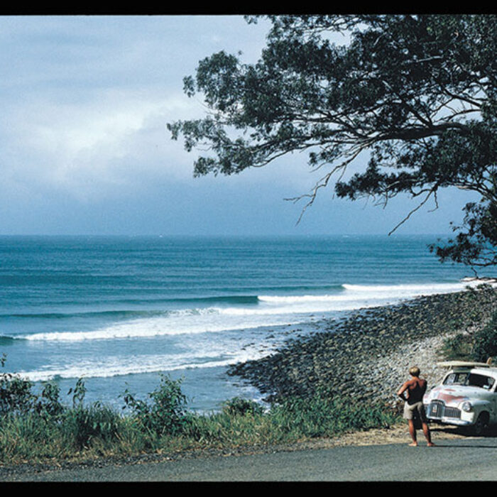 What would Bob do? Photo: John Witzig