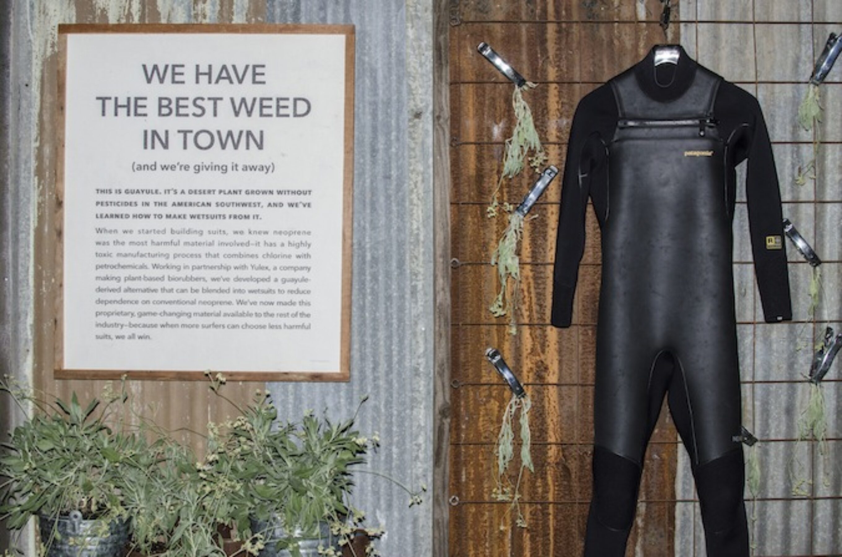 Not sure about being the best weed, but it's one of the better wetsuits — that's for damn sure. Photo: Dan LeMaitre