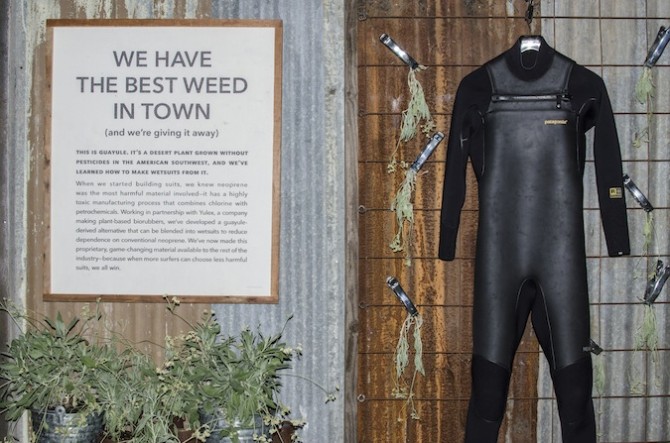Not sure about being the best weed, but it's one of the better wetsuits — that's for damn sure. Photo: Dan LeMaitre