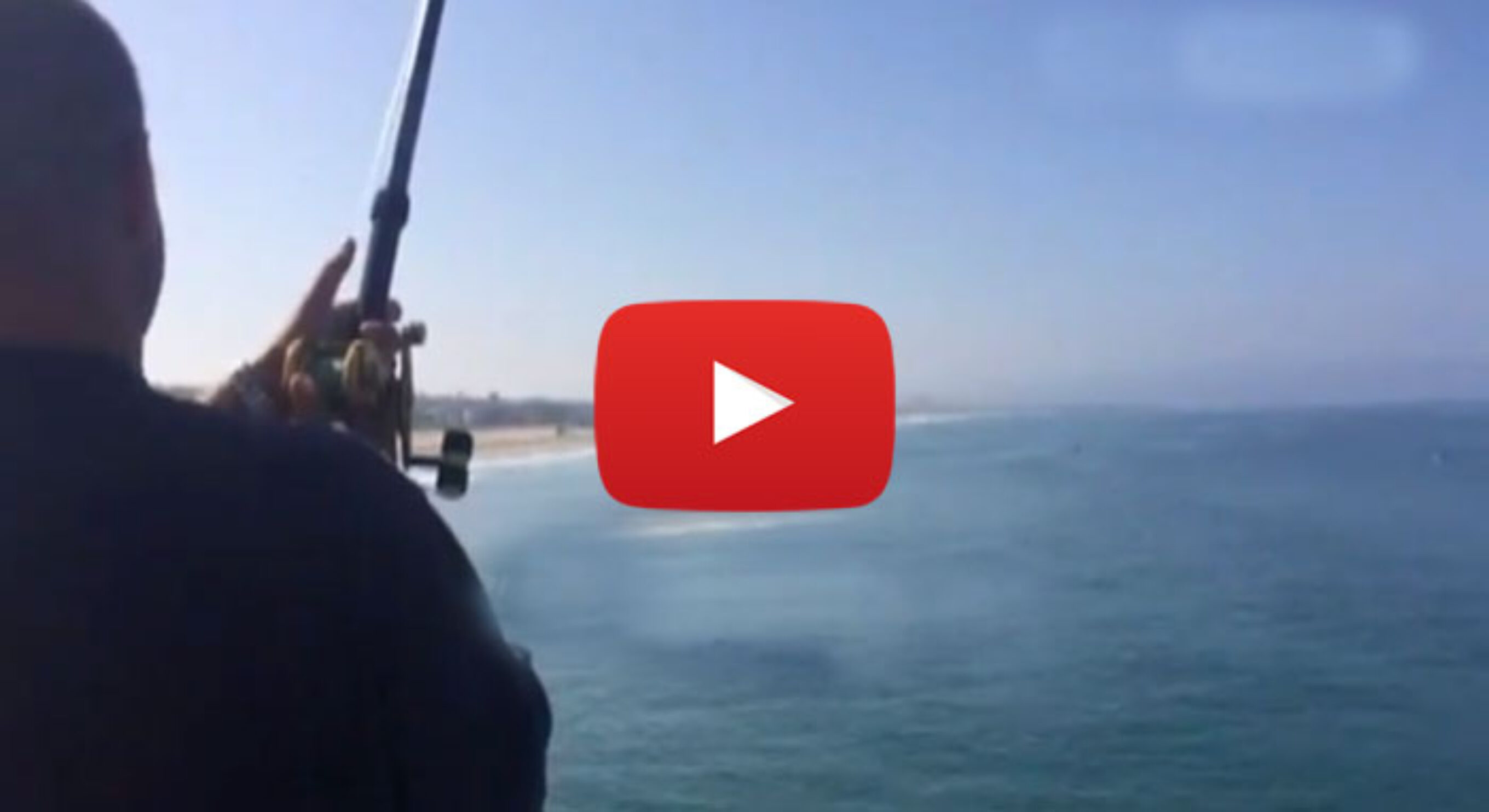 Shark Attack Manhattan Beach