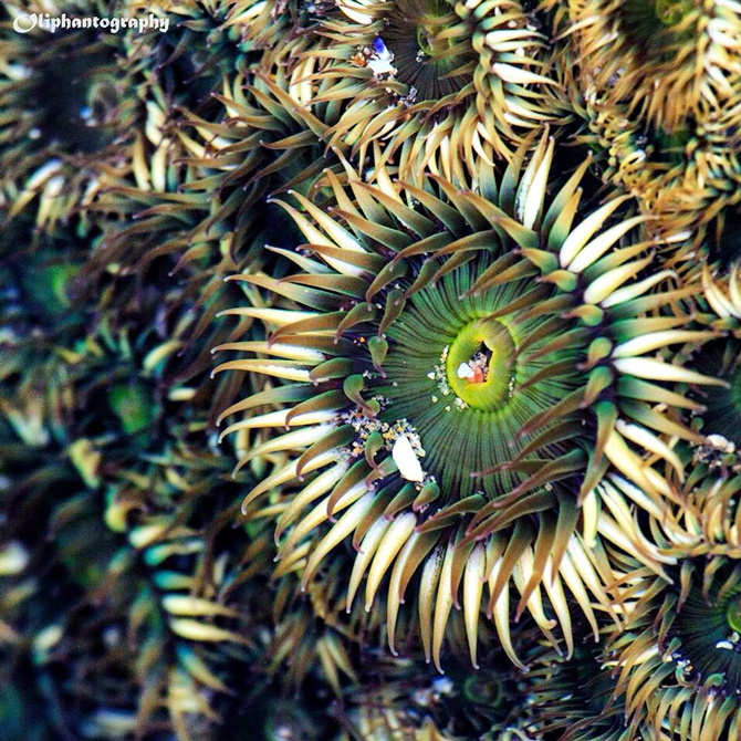 Photo: Kevin Oliphant