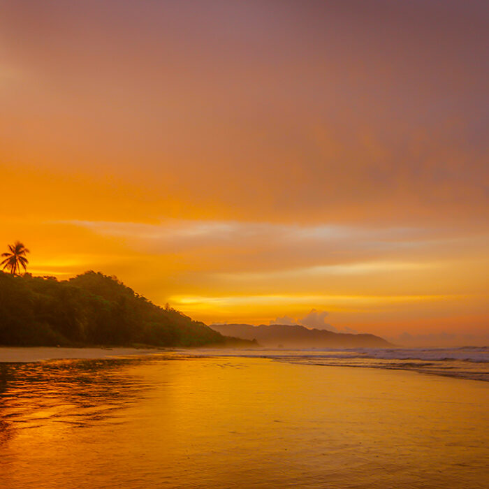 I'm from Santa Teresa beach, Costa Rica. I'm a photographer, surfer, designer, nature lover.... I think nature is the most beautiful art form.