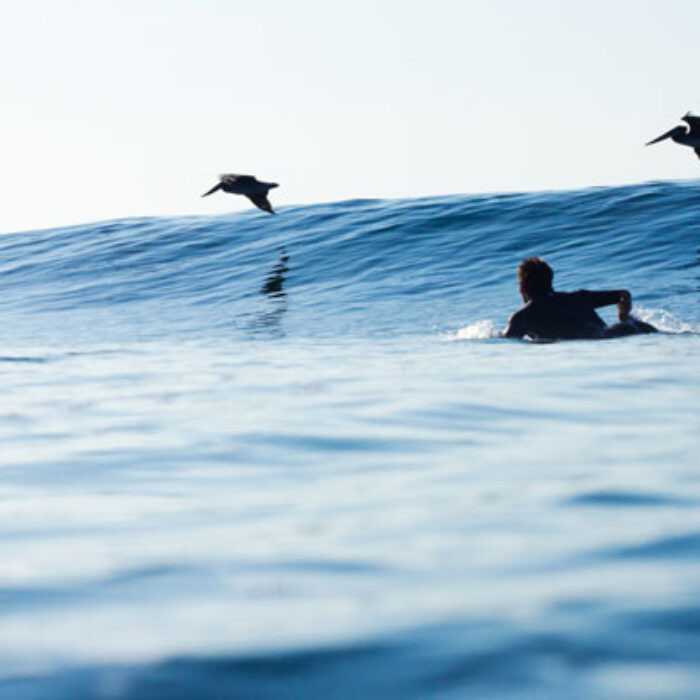 Photo: Maxx Buchanan