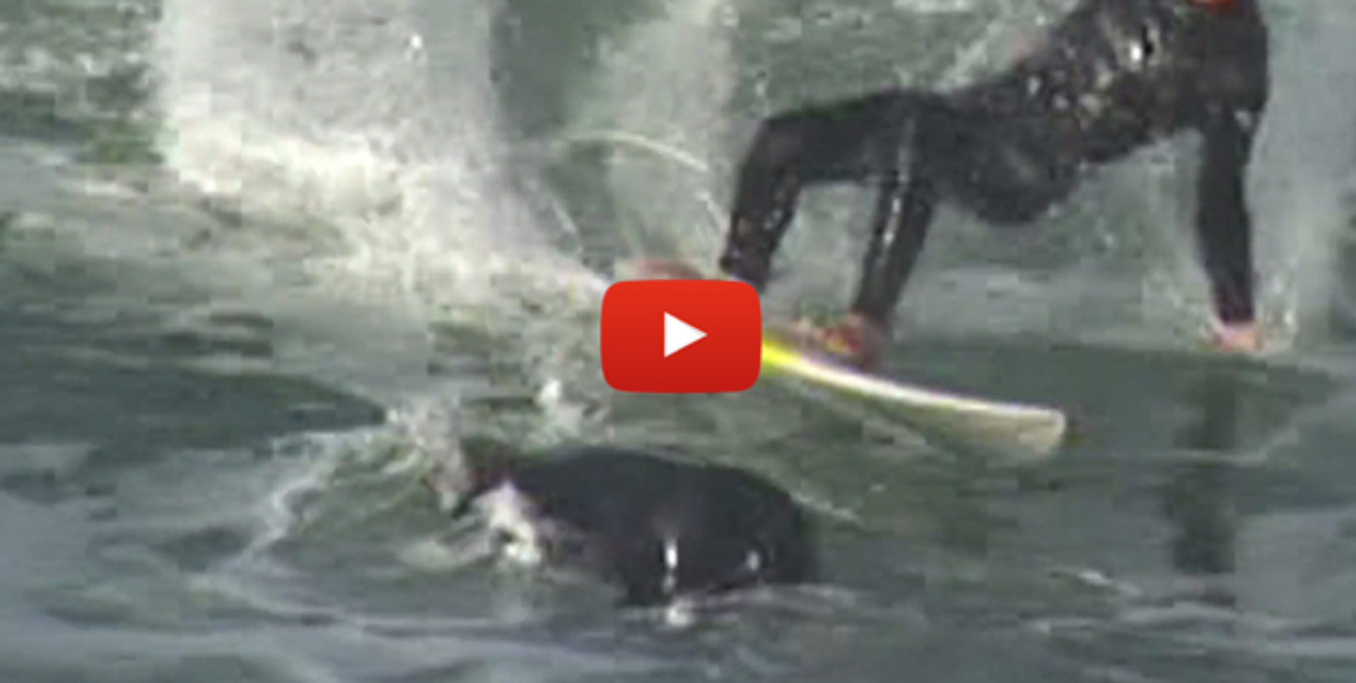 cutback