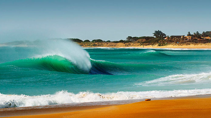 "Come play!" she beckoned. Image: Lucas Tozzi